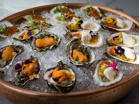 BlackBook: First Images: The Extravagant New Como Como Opens at the Moxy South Beach